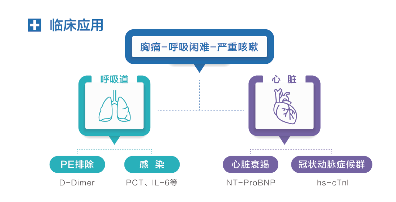 微信图片_20260122143011_674_22.png 微信图片_20260122143011_674_22.png